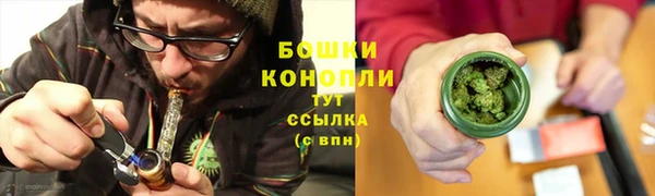 кокс Белокуриха