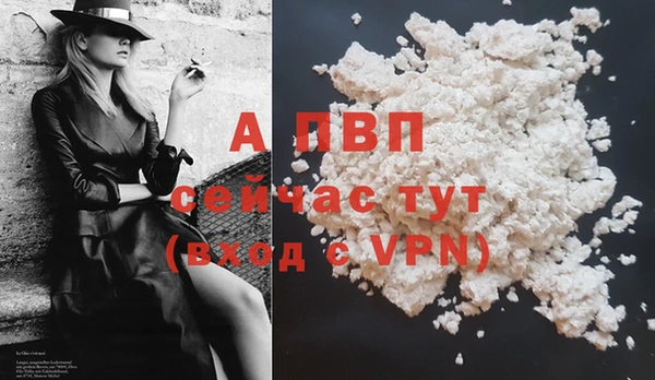 стаф Белоозёрский