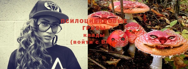 стаф Белоозёрский